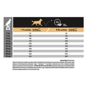 Pro Plan Medium Adult Somonlu Yetişkin Köpek Maması 3 Kg - 5