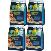 Nature Plan Meyve Aromalı+ Ballı Muhabbet Yemi 1000gr x 4 Adet - 1