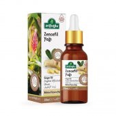 Arifoğlu Zencefil Yağı 20 ML - 1