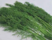 Dere Otu Tohumu - Aksel 10 gr - 1