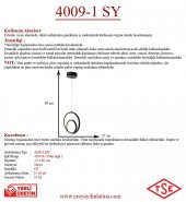 Eray Aydınlatma 4009-1 Siyah Tekli Led Avize - 3