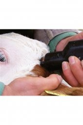 Elektrikli Boynuz Yakma Aleti - Ithal - Hayvan Boynuzu Köreltme Makinası thumbnail 2