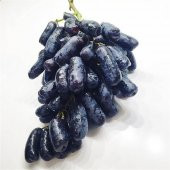 Tüplü Finger Black Çekirdeksiz Üzüm Fidanı - 2
