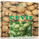 Ceviz Yetiştiriciliği Kitabı - 1