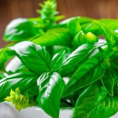 Dik Gelişen Limon Fesleğen Tohumu (100 tohum) - 1