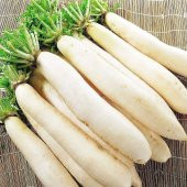 Uzun Beyaz Turp Tohumu (10 gram) - 1
