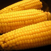 Tatlı İri Taneli Haşlamalık Süt Mısır Tohumu (25 tohum) - 1