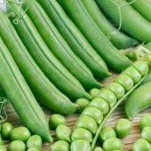 Geleneksel Bezelye Tohumu (25 gram) - 2