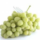 Tüplü Çekirdeksiz Superior Seedless Üzüm Asma-Bağ Fidanı - 1
