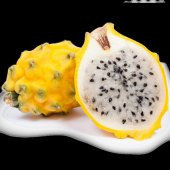 Tüplü Nadir Sarı Pitaya Yellow Dragon Fruit (Ejder Meyvesi) Fidanı thumbnail 2