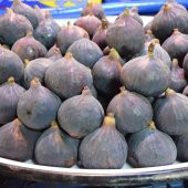 Tüplü Sofralık Bursa Siyahı Dürdane İncir Fidanı thumbnail 1