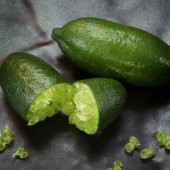Tüplü Aşılı Özel Ürün Finger Lime Limon Fidanı (10-30 Cm) - 1