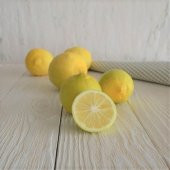 Tüplü Aşılı Tatlı Şeker Limon Fidanı Meyve Verme Yaşında - 1