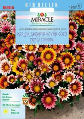 Miracle Karışık Renkli Koyun Gözü Gazanya Çiçeği Tohumu(78 tohum) - 1