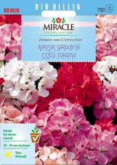 Miracle Colorama Karışık Renkli Hibrit Sardunya Çiçeği Tohumu (24 tohum) - 1