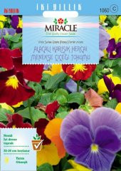Miracle Swiss Giant Alacalı Karışık Hercai Menekşe Çiçeği (300 tohum) - 1
