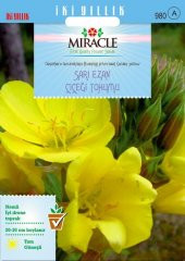 Miracle Ezan Çiçeği Tohumu (480 tohum) - 1