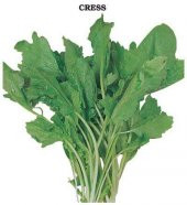 Geniş Yaprak Tere Tohumu (2 gram) - 1