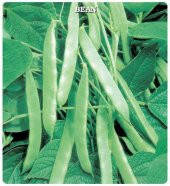 Meşale Sırık Fasülye Tohumu (25 gram) - 1