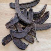 Doğal Amerikan Carop (Harnup) Ağacı Tohumu(5 tohum) thumbnail 2