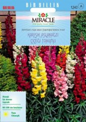 Miracle Antirrhinum Rainbow Mixed Karışık Aslanağzı Çiçeği Tohumu(200 tohum) - 1