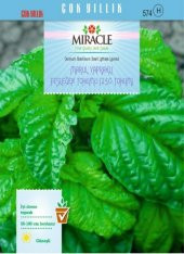 Miracle Marul Yapraklı Fesleğen Tohumu (250 tohum) - 1