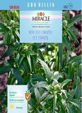 Miracle Kedi Otu Tohumu (75 tohum) - 1