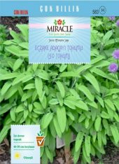 Miracle Eczane Adaçayı Tohumu (50 tohum) - 1