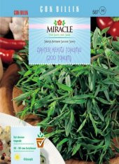 Miracle Zahter Kekiği Tohumu (200 tohum) - 1