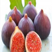 Bursa Siyahı Dürdane İncir Tohumu (5 adet) thumbnail 1