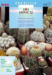 Miracle Karışık Kaktüs Bitkileri Çiçeği Tohumu (900 tohum) - 1