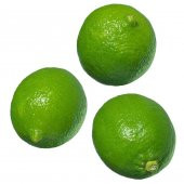 Çekirdeksiz Tahiti Lime Limequat Fidanı - 1