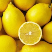 Tüplü Dayanıklı Yarı Bodur Mayer Sulu Limon Fidanı - 1