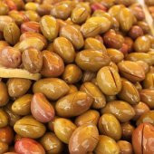 Koroneiki Bodur Zeytin Fidanı (Meyve Verme Durumunda) - 1