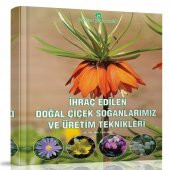 İhraç Edilen Doğal Çiçek Soğanlarımız ve Üretim Teknikleri Kitabı - 1