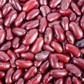 Sırık Barbunya Fidesi (5 adet) - 1