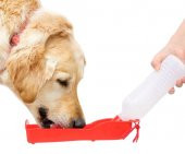 Evcil Hayvan Kedi Köpek Seyahat Suluğu 500 ml - 5