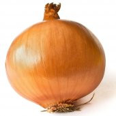 Bankon Soğan Fidesi (5 adet ) - 1