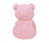 Yumoş Ayı 47 cm Pembe Pelüş Ayı Sevgiliye Hediye - 2