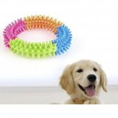 Köpek Isırma Çemberi - 2