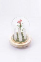 Kristal Kuvars Doğal Taş Dekoratif Cam Fanus Işıklı - 2