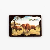 Tanzanya Temalı Deri Magnet Ahşap Tabaka thumbnail 1
