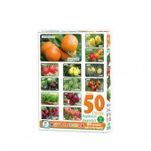 LC7178 BABY 50 MEYVE SEBZE thumbnail 1