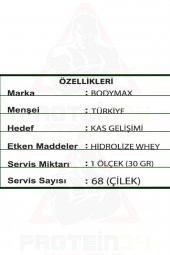 Bodymax Gold Whey Protein Tozu 2250gr 75 Servis Çilek Aromalı - 3