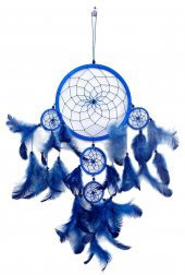 Mavi Kuş Tüylü Düş Kapanı Duvar Süsü thumbnail 1