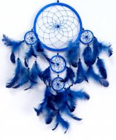 Mavi Kuş Tüylü Düş Kapanı Duvar Süsü thumbnail 2