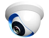 Neutron Nta-Ipc02 Dome Ip Alarm Kamerası - 1