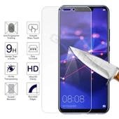 Apple iPhone XS Max 5D Tam Kaplayan Ekran Koruyucu Cam - 2