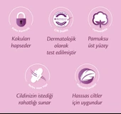 MOLPED ULTRA HİJYENİK PED GECE SÜPER AVANTAJ PAKETİ 48 ADET - 4
