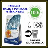 N&D tahılsız ocean balıklı yetişkin kedi maması 1 kg açık mama - 1